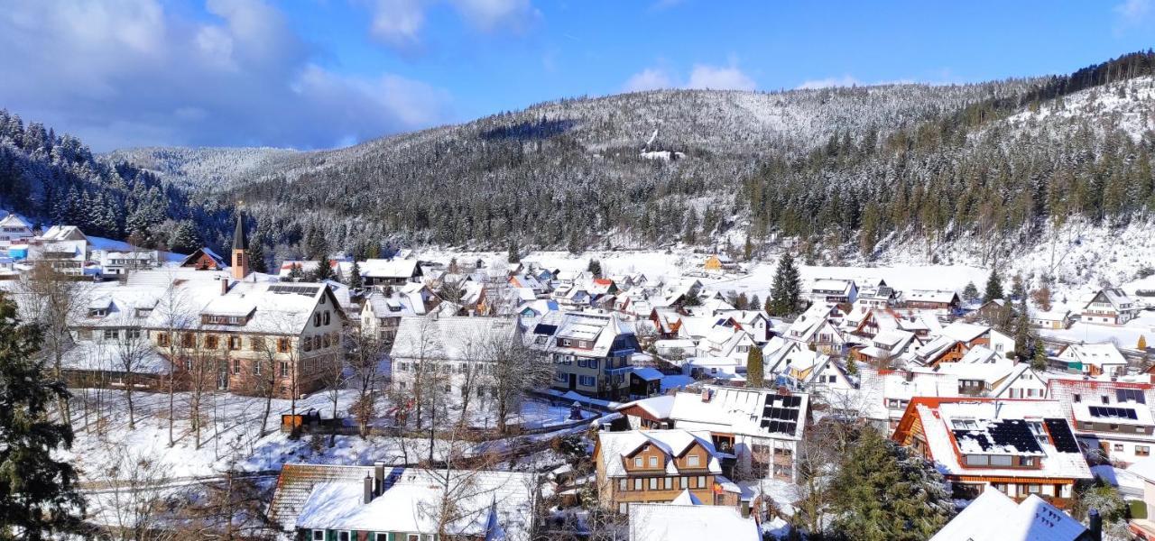 Ferienwohnung Tannenballett Im Schwarzwald Baiersbronn Exterior photo