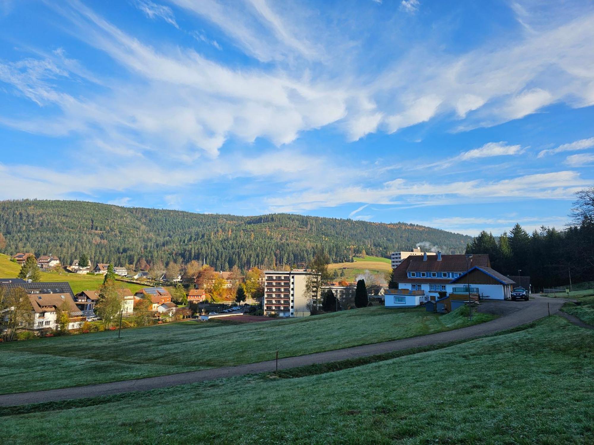 Ferienwohnung Tannenballett Im Schwarzwald Baiersbronn Exterior photo