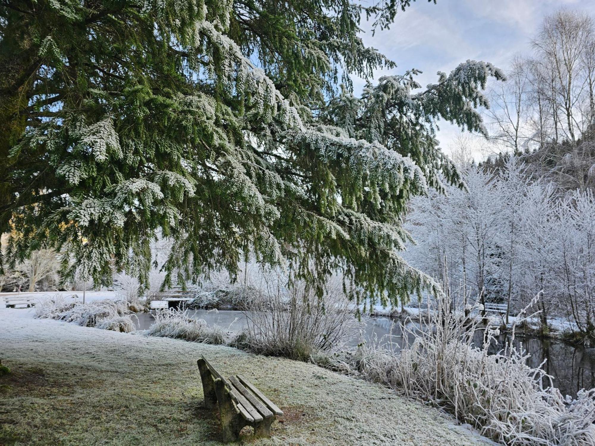 Ferienwohnung Tannenballett Im Schwarzwald Baiersbronn Exterior photo